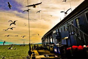 网络ddos监测分析工具