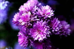 革命性突破且具有创新意义的DDOS攻击教程